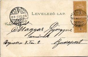 1901 Hévíz, Hetes Ház, fürdő, Mexikó szálloda, kápolna. Moricz Marton kiadása, Art Nouveau, floral, ...