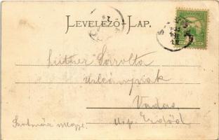 1903 Balatonfüred, Füred; Savanyúvíz kút. Köves Béla kiadása, montázs (EK)