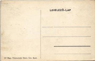 Budakeszi, Lamberg Károly "Angyal" gyógyszertára, udvar (EK)