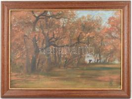 Körösfői-Kriesch Aladár (1863-1920): Őszi erdő. Olaj, vászon, kartonra ragasztva, jelezve jobbra len...