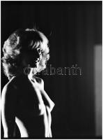 Sejtelem és rejtelem, különböző időpontokban, több fotómodell közreműködésével készült felvételek, M...