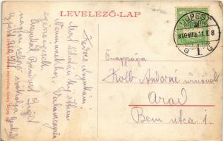 1910 Budapest IV. Újpest, Vízművek. Selley Károly fényképész kiadása (EK)