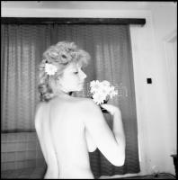 cca 1981 Virágszálak, Menesdorfer Lajos (1941-2005) budapesti fotóművész hagyatékából, 11 db vintage...