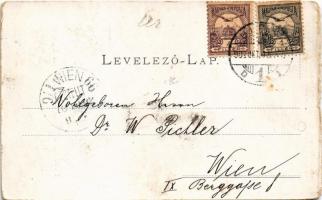 1902 Budapest IV. Újpest, Árpád út háttérben a Népszigettel, villamossínek. Schön Bernát tulajdona (...