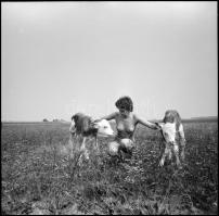 cca 1987 Találkozás az édes kis bocikkal, Menesdorfer Lajos (1941-2005) budapesti fotóművész hagyaté...