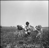 cca 1987 Találkozás az édes kis bocikkal, Menesdorfer Lajos (1941-2005) budapesti fotóművész hagyaté...