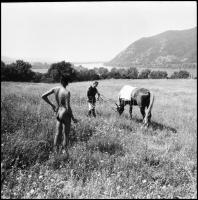 cca 1979 A királyfi mindig lóháton érkezik, a bugyi nélkül várakozó lányokhoz, Menesdorfer Lajos (19...