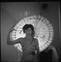 cca 1978 és 1993 között, több fotómodell közreműködésével készült akt felvételek, Menesdorfer Lajos ...