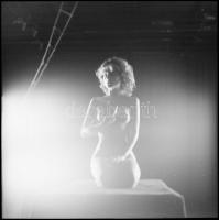 cca 1978 és 1993 között, több fotómodell közreműködésével készült akt felvételek, Menesdorfer Lajos ...