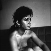 cca 1978 és 1993 között, több fotómodell közreműködésével készült akt felvételek, Menesdorfer Lajos ...