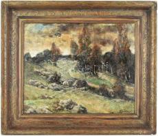 Paál Albert (1895-1968): Erdélyi táj. Olaj, fa, jelezve jobbra lent. Dekoratív, éleinél kissé sérült...