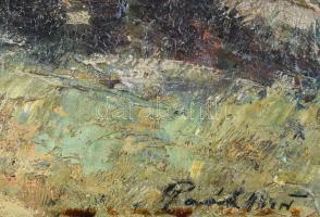 Paál Albert (1895-1968): Erdélyi táj. Olaj, fa, jelezve jobbra lent. Dekoratív, éleinél kissé sérült...