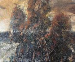 Paál Albert (1895-1968): Erdélyi táj. Olaj, fa, jelezve jobbra lent. Dekoratív, éleinél kissé sérült...