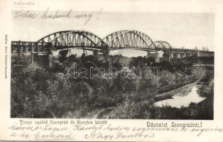 Csongrád Tisza-híd