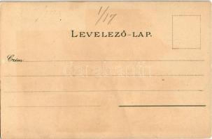 Budapest V. Erzsébet tér. Kuenstlerpostkarte No. 2302. von Ottmar Zieher. litho s: Raoul Frank