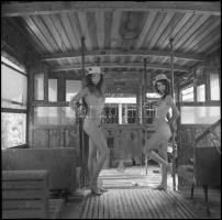 cca 1989 Nosztalgiajárat a fogaskerekű vonalán, Menesdorfer Lajos (1941-2005) budapesti fotóművész h...