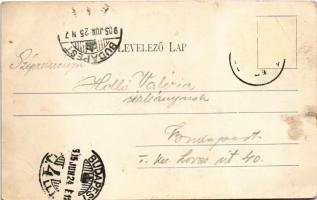 1905 Budapest II. Pesthidegkút, Hidegkút; Községháza. Divald Károly 579. (EK)