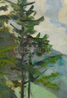 Kelemen Emil (1895-1975): Hegyvidéki táj (Erdély?), 1931. Olaj, vászon, jelzett. Javított. Dekoratív...