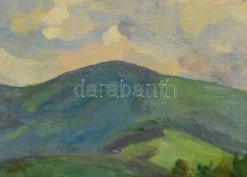 Kelemen Emil (1895-1975): Hegyvidéki táj (Erdély?), 1931. Olaj, vászon, jelzett. Javított. Dekoratív...