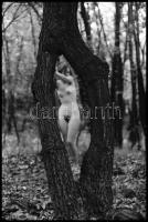 cca 1971 Fűben, fában van az orvosság, szolidan erotikus felvételek, 3 db vintage NEGATÍV, 36x24 mm