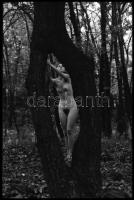 cca 1971 Fűben, fában van az orvosság, szolidan erotikus felvételek, 3 db vintage NEGATÍV, 36x24 mm