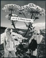 cca 1980 ,,Ez az én Életem kertje ..., szolidan erotikus fénykép, vintage fotó, 22,6x18 cm