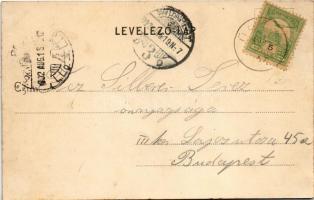 1902 Pilisborosjenő, Fő utca, Új lak. Holczer János kiadása