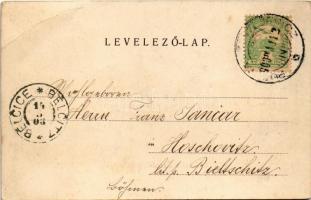 1903 Budapest XVIII. Pestszentlőrinc, Pusztaszentlőrinc, Szentlőrinc; Podoletz Gusztáv üzlete és saj...