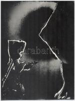 cca 1977 Bimbózó virágok, Nagy Ottó Sándor (1927-2013) székesfehérvári fotóművész hagyatékából jelzés nélküli, vintage fotóművészeti alkotás, szolarizálva, 39x29,5 cm