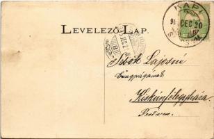 1905 Kapi, Kapusany; vár, lovaskocsi a fahídon. Divald / Kapusiansky hrad / castle ruins, horse cart...