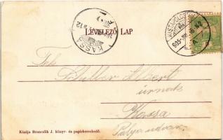 1905 Kistapolcsány, Topolcianky; Fő utca, szobor, kerekes kút, Weisz Márk üzlete. Brunczlik J. kiadá...