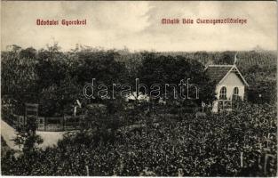 1912 Gyorok, Ghioroc; Mihalik Béla Csemegeszőlő telepe / table grape farm