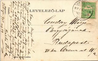 1907 Vihnye, Vihnyefürdő, Kúpele Vyhne; Liptay László kiadása (EB)