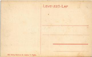 Trencsénteplic-fürdő, Kúpele Trencianske Teplice; Baross és Göpfert villa / villas