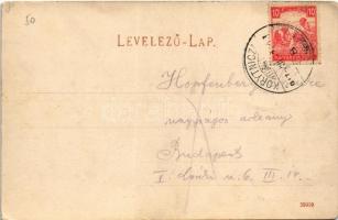 1917 Koritnyica, Korytnica; Duna szálló / hotel villa (EK)