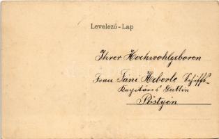 Temesvár, Timisoara; Bega részlet, merítős halászháló / riverside with fishing net