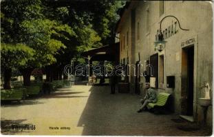 1909 Vihnye, Vihnyefürdő, Kúpele Vyhne; Hársfa sétány, jegypénztár, Nándorház, dohány és szivar. Joerges kiadása 1909 / promenade, spa shop (EK)