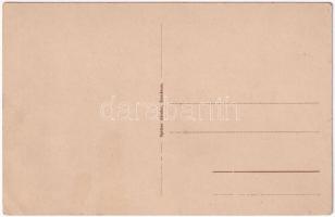 Komárom, Komárnó; Erzsébet szigeti kertilak / Alzbetínsky ostrov / island villa