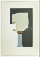Mark (Márkus), Anna (1928-): Konstruktivista kompozíció. Szitanyomat, papír, jelzett, művészpéldány E.A. jelzéssel. Üvegezett fa keretben, 45×34 cm.