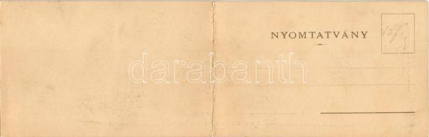 Merény, Szepesmerény, Nálepkovo; Matz Gusztáv kiadása, két részes kinyitható panorámalap / 2-tiled f...