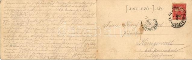 Medgyes, Mediasch, Medias; Guggenberger Frigyes kiadása, két-részes kinyitható panorámalap / 2-tiled...