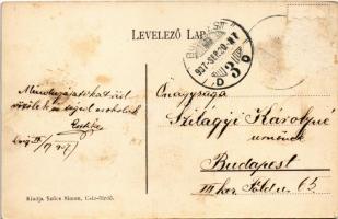 1907 Csíz, Csízfürdő, Kúpele Cíz; Milán nyaraló. Szűcs Simon kiadása / villa (Rb)