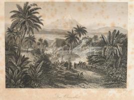 Johann Wilhelm von Müller: Reisen in den Vereinigten Staaten, Canada und Mexiko. I-II. köt. Leipzig,...