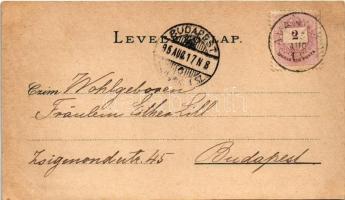 1895 (Vorläufer!) Savanyúkút, Bad Sauerbrunn bei Wiener Neustadt; Vendéglő és étterem / Gasthof und ...