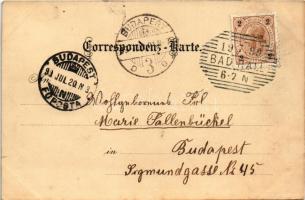 1899 (Vorläufer) Bad Hall (Oberoesterrich). Art Nouveau, floral, litho