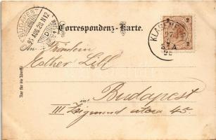 1895 (Vorläufer!) Wörthersee, SS Helios. Steyrermühl Art Nouveau, floral, litho