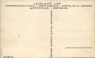 Hoffher-Schrantz Clayton-Shuttleworth gépgyár reklámlapja, aratógép. Saját nyomás 632. / Hungarian a...