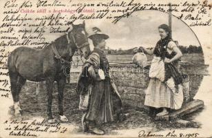 Hortobágy, csikós idill