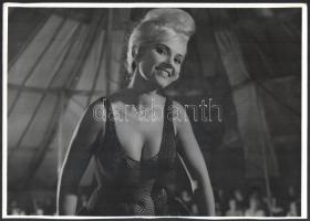 1965 Tilos a szerelem című magyar filmről 7 db produkciós filmfotó Pánczél György (1920-?) filmtörté...