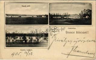 1905 Bábolna, kastély, túzok erdő, ménes. floral (EK)